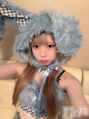 ʥå륺С󥻥ץȥե ˤޤ(󥻥ץȥե˥ޥ륭奦ǥ) 礦117̥֥117 2201ʬΥ֥