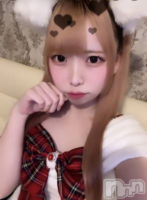 ʥå륺С󥻥ץȥե ˤޤ(󥻥ץȥե˥ޥ륭奦ǥ) 礦1114̥֥1114 0334ʬΥ֥