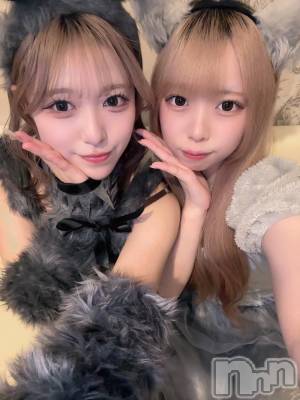 ʥå륺С󥻥ץȥե ˤޤ(󥻥ץȥե˥ޥ륭奦ǥ) 礦1120̥֥1120 2333ʬΥ֥