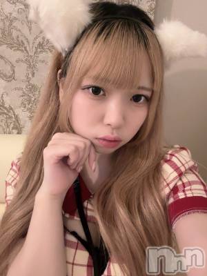 ʥå륺С󥻥ץȥե ˤޤ(󥻥ץȥե˥ޥ륭奦ǥ) 礦121̥֥121 2330ʬΥ֥