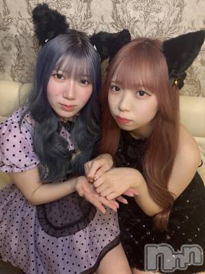 ʥå륺С󥻥ץȥե ˤޤ(󥻥ץȥե˥ޥ륭奦ǥ) 礦128̥֥128 0242ʬΥ֥