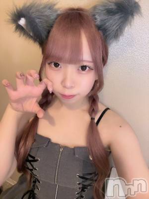 ʥå륺С󥻥ץȥե ˤޤ(󥻥ץȥե˥ޥ륭奦ǥ) 礦129̥֥129 0134ʬΥ֥
