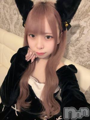 ʥå륺С󥻥ץȥե ˤޤ(󥻥ץȥե˥ޥ륭奦ǥ) 礦1220̥֥1220 0141ʬΥ֥