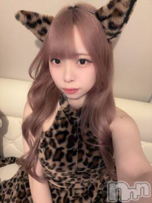 ʥå륺С󥻥ץȥե ˤޤ(󥻥ץȥե˥ޥ륭奦ǥ) 礦1223̥֥1223 2149ʬΥ֥