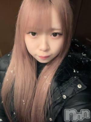 ʥå륺С󥻥ץȥե ˤޤ(󥻥ץȥե˥ޥ륭奦ǥ) 礦14̥֥14 1631ʬΥ֥