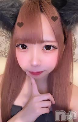 ʥå륺С󥻥ץȥե ˤޤ(󥻥ץȥե˥ޥ륭奦ǥ) 礦18̥֥18 0259ʬΥ֥