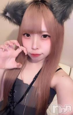 ʥå륺С󥻥ץȥե ˤޤ(󥻥ץȥե˥ޥ륭奦ǥ) 礦126̥֥126 0317ʬΥ֥