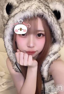 ʥå륺С󥻥ץȥե ˤޤ(󥻥ץȥե˥ޥ륭奦ǥ) 礦127̥֥127 2340ʬΥ֥