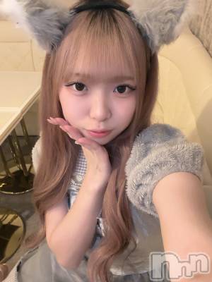 ʥå륺С󥻥ץȥե ˤޤ(󥻥ץȥե˥ޥ륭奦ǥ) 礦130̥֥130 2211ʬΥ֥