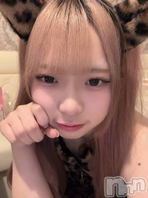 ʥå륺С󥻥ץȥե ˤޤ(󥻥ץȥե˥ޥ륭奦ǥ) 礦131̥֥131 2259ʬΥ֥