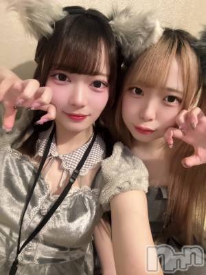 ʥå륺С󥻥ץȥե ˤޤ(󥻥ץȥե˥ޥ륭奦ǥ) 礦210̥֥210 2305ʬΥ֥