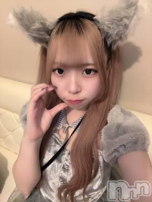 ʥå륺С󥻥ץȥե ˤޤ(󥻥ץȥե˥ޥ륭奦ǥ) 礦215̥֥215 0257ʬΥ֥