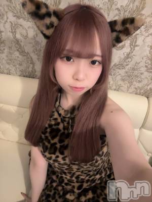 ʥå륺С󥻥ץȥե ˤޤ(󥻥ץȥե˥ޥ륭奦ǥ) 礦219̥֥219 2137ʬΥ֥