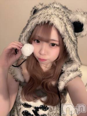ʥå륺С󥻥ץȥե ˤޤ(󥻥ץȥե˥ޥ륭奦ǥ) 礦227̥֥227 0009ʬΥ֥