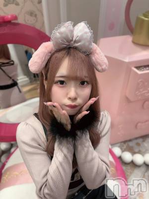 ʥå륺С󥻥ץȥե ˤޤ(󥻥ץȥե˥ޥ륭奦ǥ) 礦317̥֥317 2000ʬΥ֥