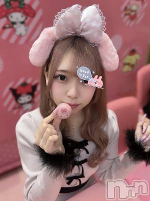 ʥå륺С󥻥ץȥե ˤޤ(󥻥ץȥե˥ޥ륭奦ǥ) 礦330̥֥330 2118ʬΥ֥