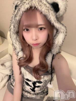 ʥå륺С󥻥ץȥե ˤޤ(󥻥ץȥե˥ޥ륭奦ǥ) 礦331̥֥331 2226ʬΥ֥