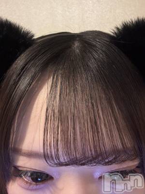 ʥå륺С󥻥ץȥե ˤޤ(󥻥ץȥե˥ޥ륭奦ǥ) 礦42̥֥42 0050ʬΥ֥