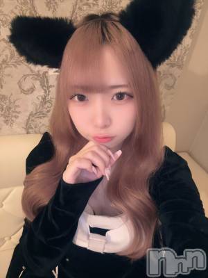ʥå륺С󥻥ץȥե ˤޤ(󥻥ץȥե˥ޥ륭奦ǥ) 礦48̥֥48 2241ʬΥ֥