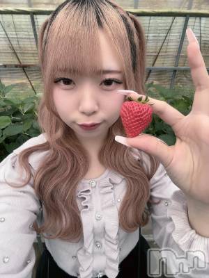 ʥå륺С󥻥ץȥե ˤޤ(󥻥ץȥե˥ޥ륭奦ǥ) 礦412̥֥412 2118ʬΥ֥