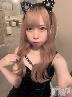 ʥå륺С󥻥ץȥե ˤޤ(󥻥ץȥե˥ޥ륭奦ǥ) 礦419̥֥419 2206ʬΥ֥
