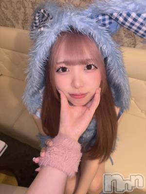 ʥå륺С󥻥ץȥե ˤޤ(󥻥ץȥե˥ޥ륭奦ǥ) 礦521̥֥521 2336ʬΥ֥