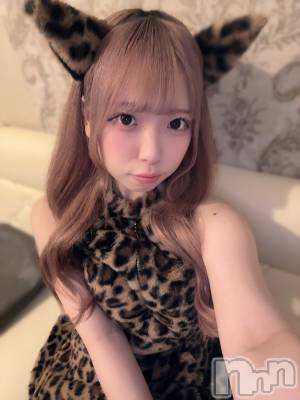 ʥå륺С󥻥ץȥե ˤޤ(󥻥ץȥե˥ޥ륭奦ǥ) 礦525̥֥525 0238ʬΥ֥