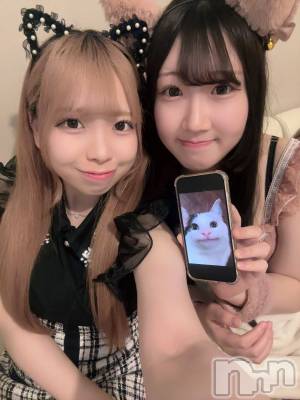 ʥå륺С󥻥ץȥե ˤޤ(󥻥ץȥե˥ޥ륭奦ǥ) 礦65̥֥65 2319ʬΥ֥