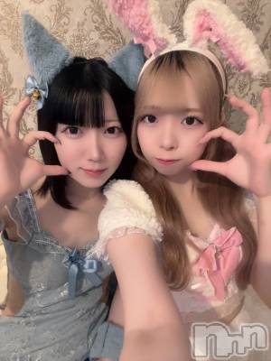 ʥå륺С󥻥ץȥե ˤޤ(󥻥ץȥե˥ޥ륭奦ǥ) 礦71̥֥71 2305ʬΥ֥