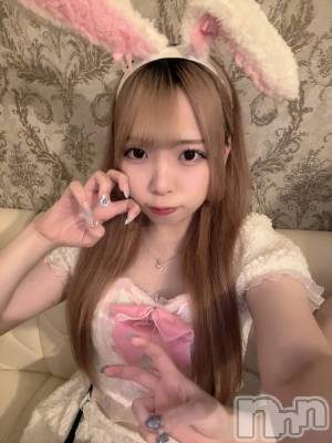 ʥå륺С󥻥ץȥե ˤޤ(󥻥ץȥե˥ޥ륭奦ǥ) 礦72̥֥72 2113ʬΥ֥