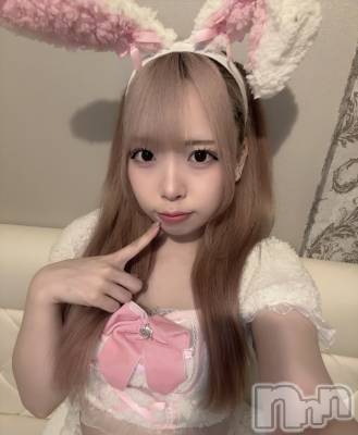 ʥå륺С󥻥ץȥե ˤޤ(󥻥ץȥե˥ޥ륭奦ǥ) 礦84̥֥84 2143ʬΥ֥