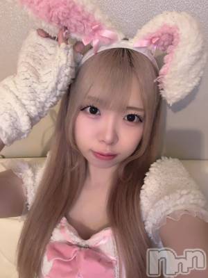 ʥå륺С󥻥ץȥե ˤޤ(󥻥ץȥե˥ޥ륭奦ǥ) 礦88̥֥88 0003ʬΥ֥