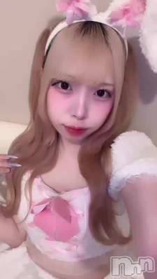 831 2305ʬΥ֥