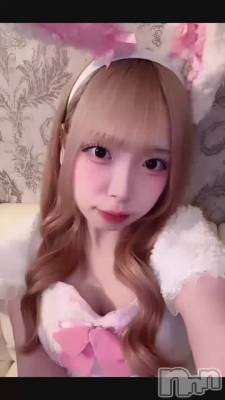 88 2212ʬΥ֥