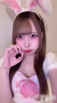 102 2241ʬΥ֥