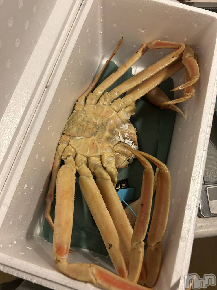 ��ˬ����Х��顦����֥���� �ץ���� ��ˬ(����� �ץ���� ����) ���� �����1��11���̥�֥�����🦀��