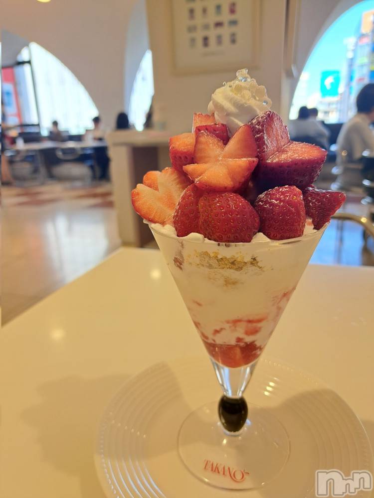 ��ˬ����Х��顦����֥���� �ץ���� ��ˬ(����� �ץ���� ����) ���� �����2��15���̥�֥�����🍓��