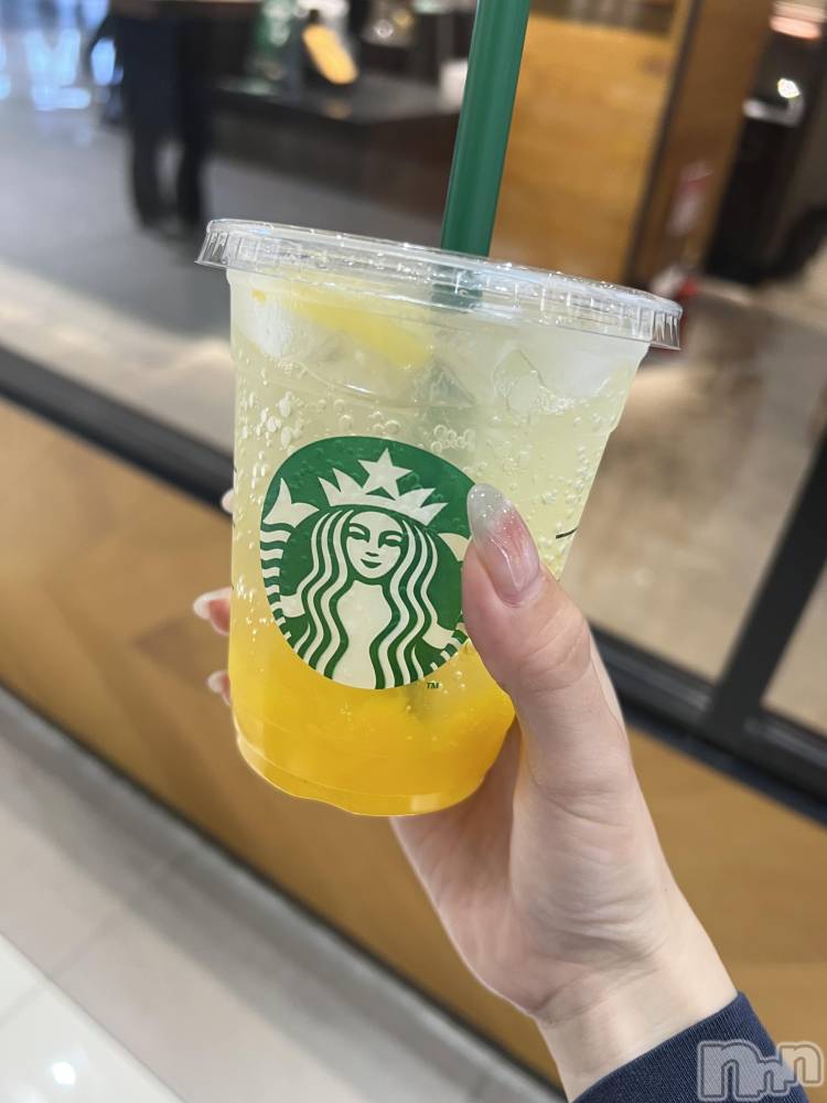 ��ˬ����Х��顦����֥���� �ץ���� ��ˬ(����� �ץ���� ����) ���� �����6��13���̥�֥�����🍹��