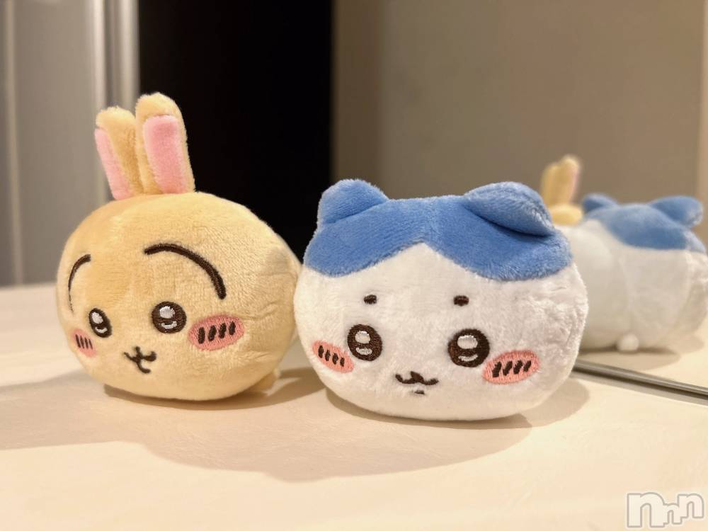 ��ˬ����Х��顦����֥���� �ץ���� ��ˬ(����� �ץ���� ����) ���� �����7��5���̥�֥�����🐈��