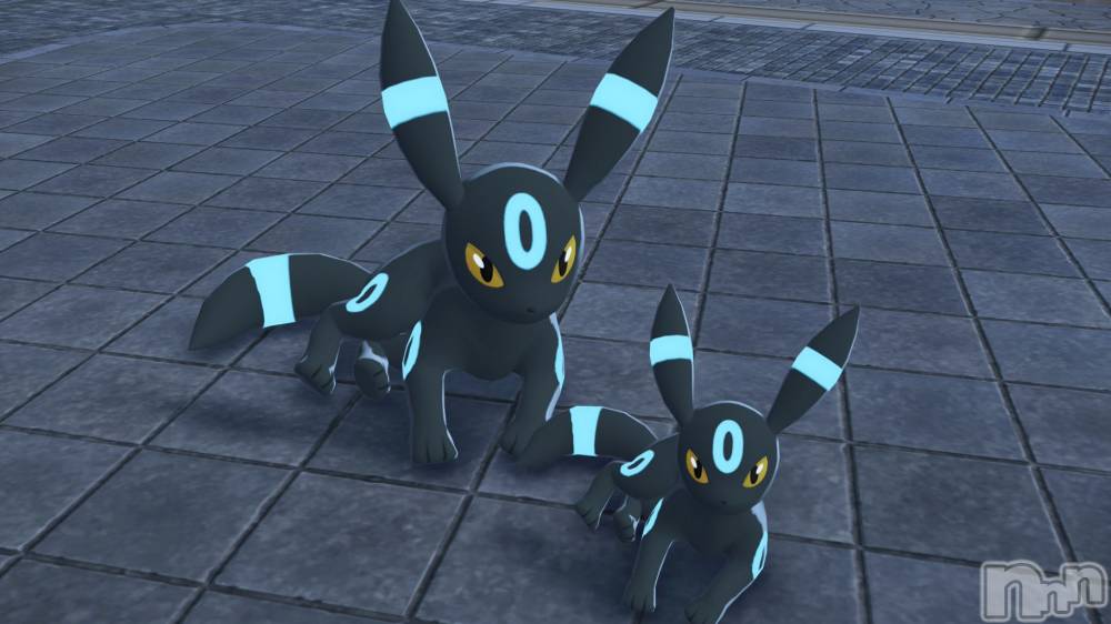 ��ˬ����Х��顦����֥���� �ץ���� ��ˬ(����� �ץ���� ����) ���� �����11��21���̥�֥�����🐶��