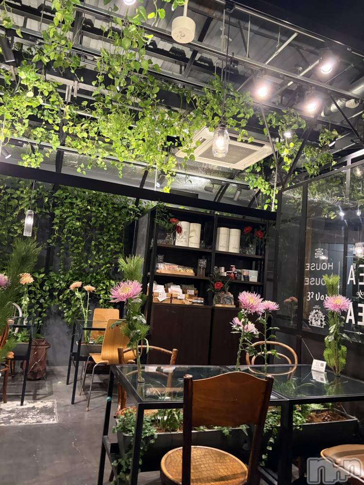 ��ˬ����Х��顦����֥���� �ץ���� ��ˬ(����� �ץ���� ����) ���� �����1��9���̥�֥�����💐��