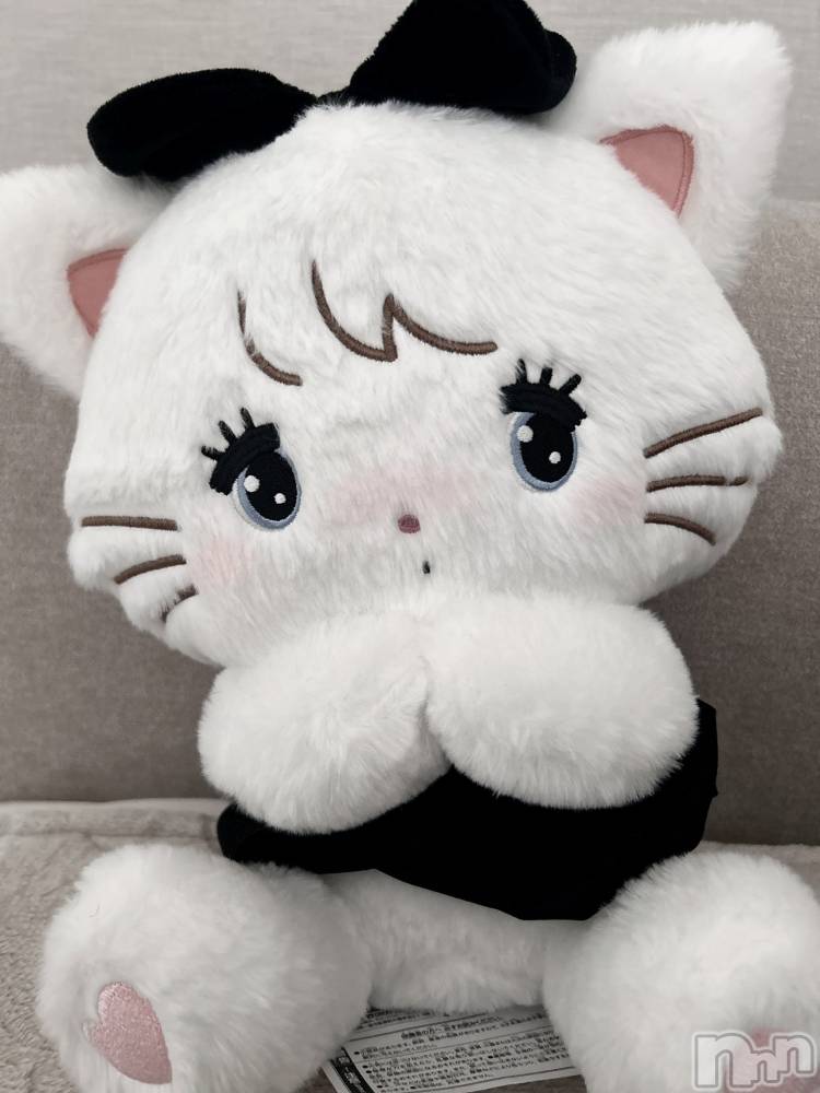 ��ˬ����Х��顦����֥���� �ץ���� ��ˬ(����� �ץ���� ����) ���� �����2��20���̥�֥�����🐱🖤��