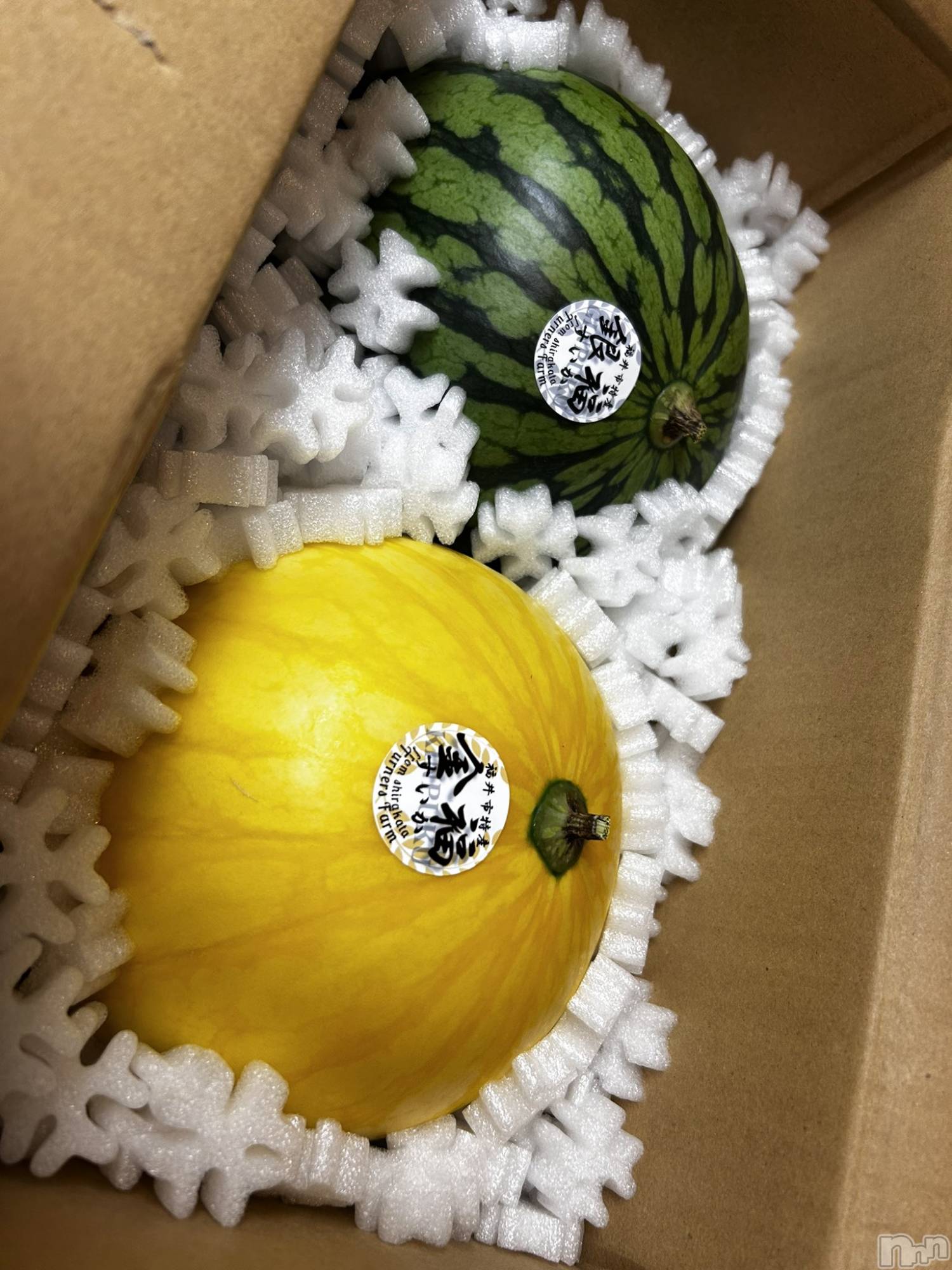 ��ˬ����Х��顦����֥���� �ץ���� ��ˬ(����� �ץ���� ����) ��2025ǯ6��27���̥�֥�����🍉��