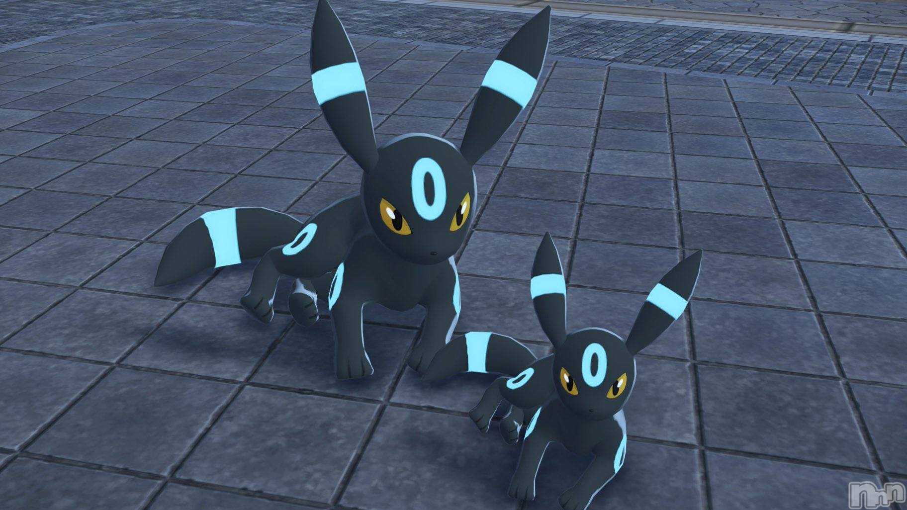 ��ˬ����Х��顦����֥���� �ץ���� ��ˬ(����� �ץ���� ����) ��2025ǯ11��21���̥�֥�����🐶��