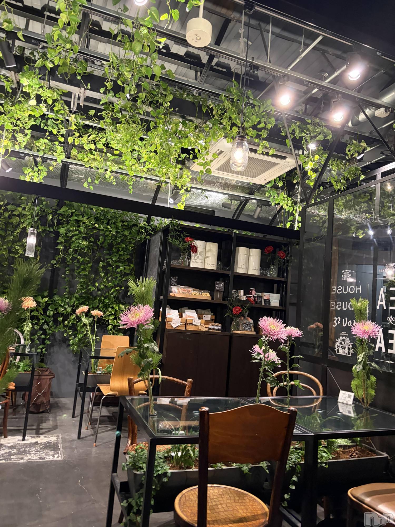 ��ˬ����Х��顦����֥���� �ץ���� ��ˬ(����� �ץ���� ����) ��2026ǯ1��9���̥�֥�����💐��