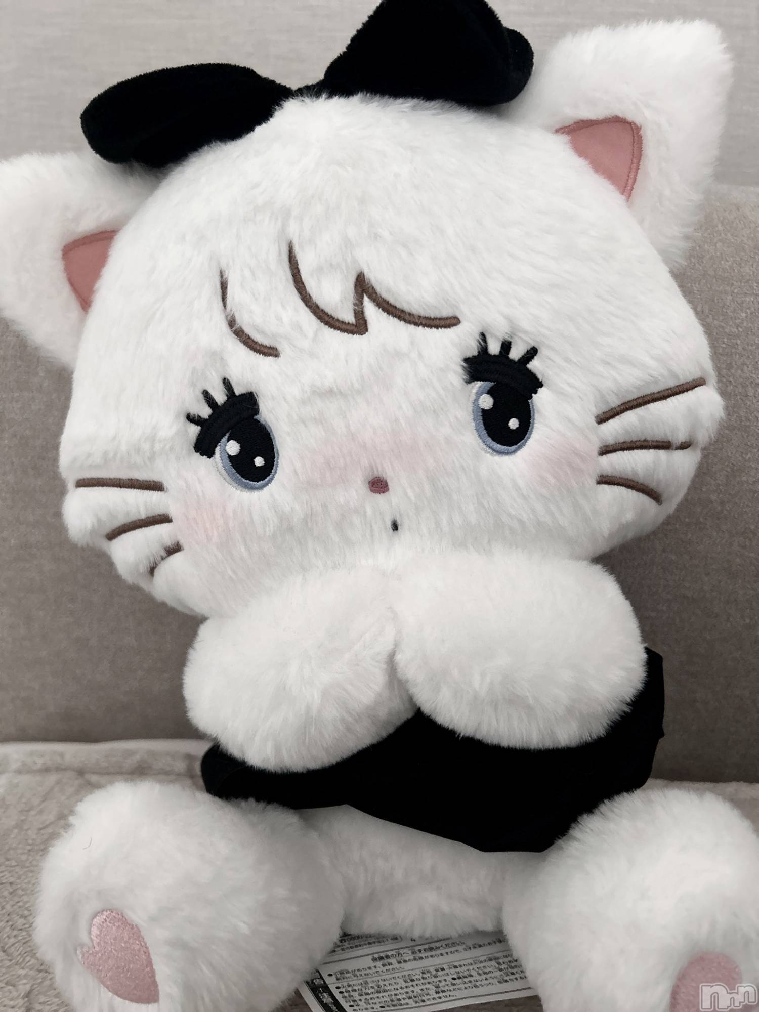 ��ˬ����Х��顦����֥���� �ץ���� ��ˬ(����� �ץ���� ����) ��2026ǯ2��20���̥�֥�����🐱🖤��