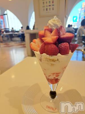 ��ˬ����Х��顦����֥���� �ץ���� ��ˬ(����� �ץ���� ����) ���� �����2��15���̥�֥�����🍓��