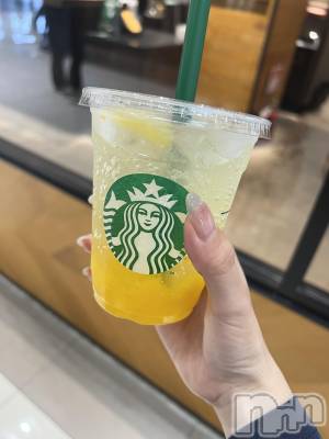 ��ˬ����Х��顦����֥���� �ץ���� ��ˬ(����� �ץ���� ����) ���� �����6��13���̥�֥�����🍹��