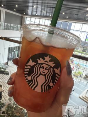 ��ˬ����Х��顦����֥���� �ץ���� ��ˬ(����� �ץ���� ����) ���� �����8��9���̥�֥�����🥤��