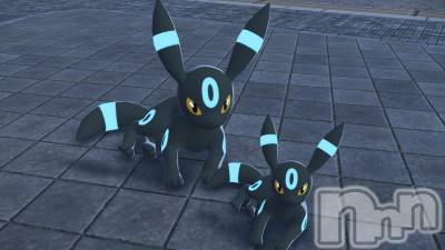 ��ˬ����Х��顦����֥���� �ץ���� ��ˬ(����� �ץ���� ����) ���� �����11��21���̥�֥�����🐶��